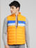 Yellow Colourblocked Puffer Vest Jacket_388125+1