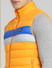 Yellow Colourblocked Puffer Vest Jacket_388125+5