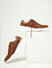 Brown Premium Leather Sneakers_414211+1