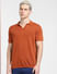 Brown Knit Polo T-shirt_404258+2