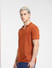 Brown Knit Polo T-shirt_404258+3