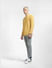 Yellow Knit Pullover_392424+6
