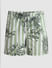 Green Striped Print Swim Shorts_415300+6