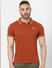 Brown Polo Neck T-shirt_394832+1
