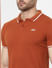 Brown Polo Neck T-shirt_394832+5
