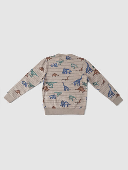 Boys Grey Striped Dinosaur Print Sweatshirt