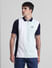 Blue Colourblocked Polo T-shirt_413878+2
