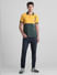 Yellow Colourblocked Cotton Polo T-shirt_415340+6
