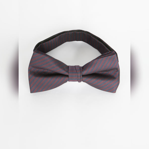 BESTSELLER CLOTHING Navy Blue Striped Bow Tie