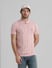 Pink Jacquard Knitted Polo_408887+1