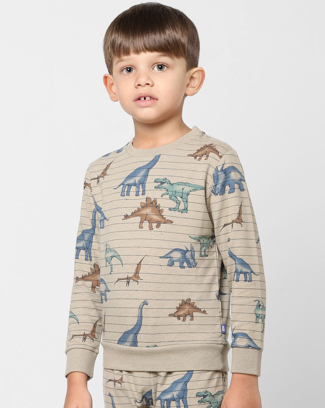 Buy Grey Striped Dinosaur Print Sweatshirt for Boys Online at Jack ...