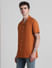 Brown Short Sleeves Shirt_415576+3