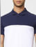 Blue Colourblocked Polo T-shirt_399086+5