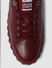 Maroon Leather Sneakers_399103+12