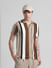 Brown Striped Knitted Polo_414509+1