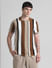 Brown Striped Knitted Polo_414509+2