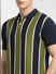 Green Striped Polo Neck T-shirt_400394+5