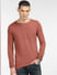 Brown Pullover_397988+2
