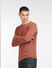 Brown Pullover_397988+3