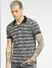 Black Striped Polo Neck T-shirt_398220+2