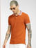 Brown Polo Neck T-shirt_398248+1