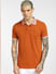 Brown Polo Neck T-shirt_398248+2