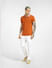 Brown Polo Neck T-shirt_398248+6