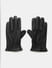 Black Gloves_408616+1