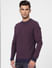 Purple Textured Knit Pullover