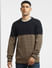 Brown Colourblocked Textured Pullover_397071+2