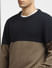 Brown Colourblocked Textured Pullover_397071+5