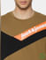 Brown Colourblocked Crew Neck T-shirt