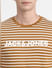Brown Striped Crew Neck T-shirt_399756+5