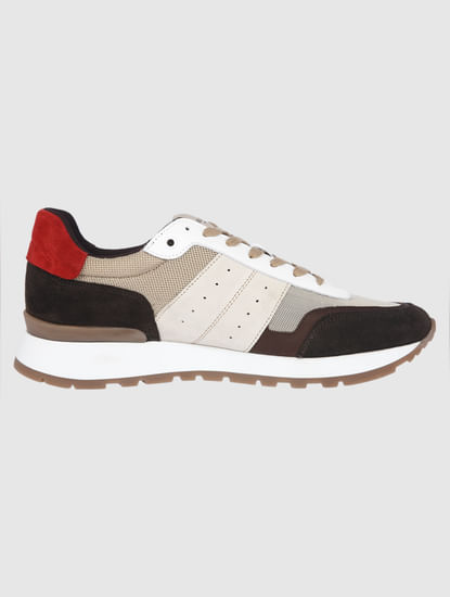 Brown Colourblocked Sneakers