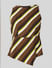 Brown Striped Asymmetric Top